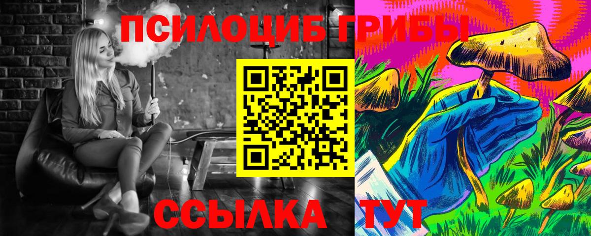 Волжск  Псилоцибиновые грибы GOLDEN TEACHER  Вход с VPN  Псилоцибиновые грибы мицелий 
